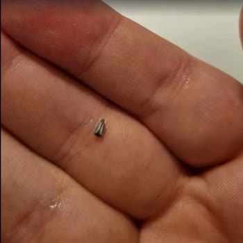 Kasap Kemal (Güre) Hem Pahalı Hem de Hijyen Yok