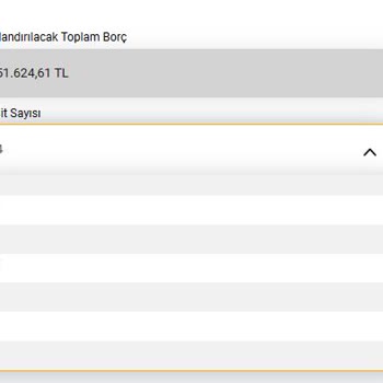 Yüksek Kart Borcuna 48 Ay Yapılandırma Talebim Reddedildi, Mağdur Ediliyorum