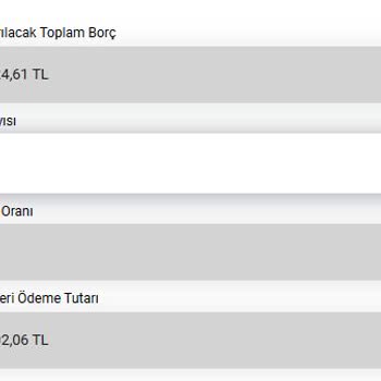 Yüksek Kart Borcuna 48 Ay Yapılandırma Talebim Reddedildi, Mağdur Ediliyorum