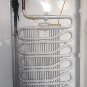 Samsung Buzdolabında Tehlikeli Tasarım Ve Yangın Riski