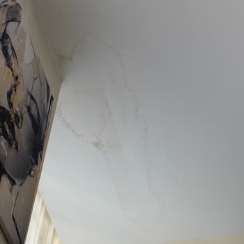 İnşaatta İzolasyon Sorunu Yıllardır Çözülmüyor