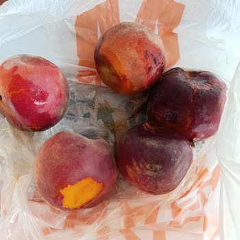 Migros’tan Gelen Çürük Meyveler Ve İlgisiz Mağaza