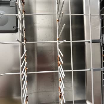 Beko Bulaşık Makinesinde Paslanma Sorunu Yaşayanlar Yalnız Değiliz