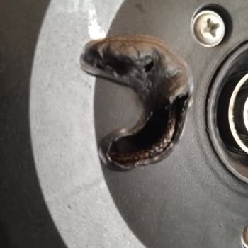 Su Isıtıcısında Elektrik Kaçağı Ve Yanık Kokusu Sonrası Firma İlgisizliği