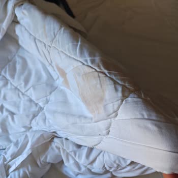 Sivas Leon Hotel & Spa Müşteri Memnuniyetsizliği