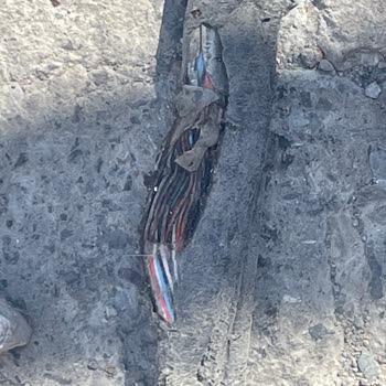 İnternet Kablosunun Yolun Ortasından Geçirilmesi Mağduriyet Yarattı