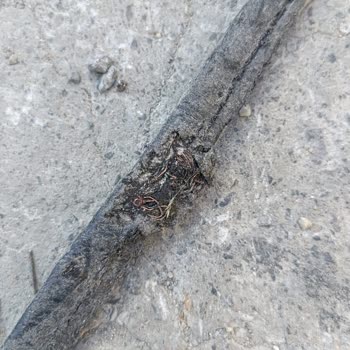 İnternet Kablosunun Yolun Ortasından Geçirilmesi Mağduriyet Yarattı
