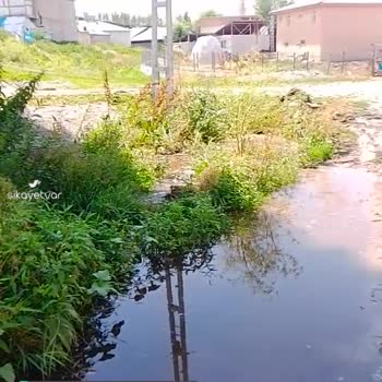 Köyceğiz Belediyesi Pislikle Yaşıyoruz, Ahırın Gideri Akıyor Evin İçine Doluyor