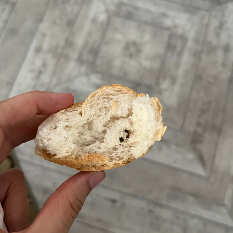 Aldığım Ekmeğin İçinden Yabancı Madde Çıktı, Gıda Güvenliği Tehlikede