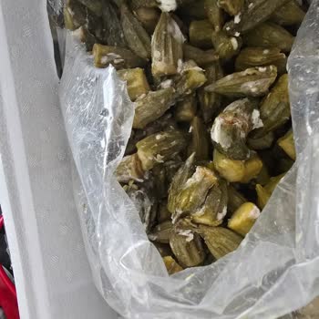 Egeden Kadın Dayanışması Küflü Ve Bozuk Ürün, Kötü Müşteri Hizmeti