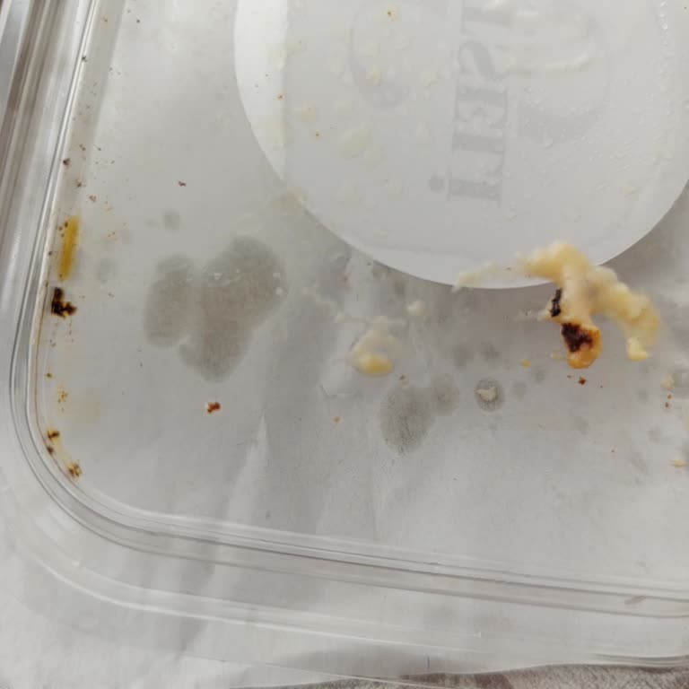 Kazandibi Tatlısında Tel Parçaları Şoku