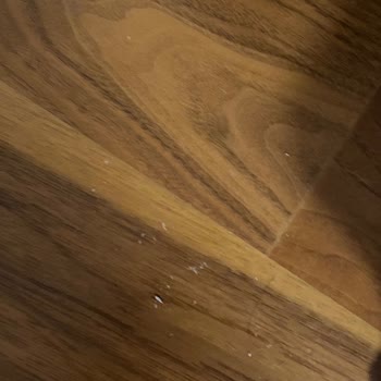 Sürekli Arızalanan Robot Süpürge Ve İlgisiz Servis