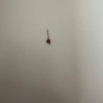 Sipariş Yanlışlığı Ve Hasarlı Ürünle İlgilenilmedi