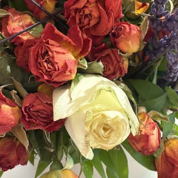 Çiçek Sepeti'nden Solmuş Ve Yıpranmış Güller Gönderildi