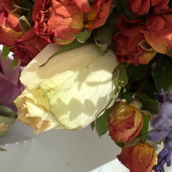 Çiçek Sepeti'nden Solmuş Ve Yıpranmış Güller Gönderildi