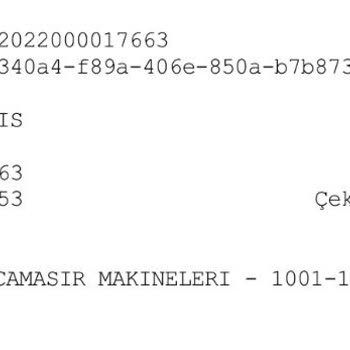 Profilo Çamaşır Makinesinde Paslanma Ve Yetersiz Servis Desteği