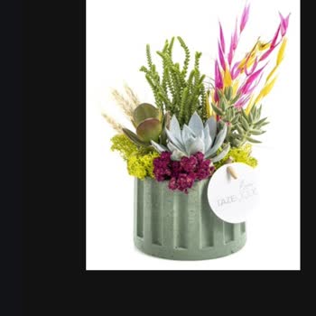 Taze Çiçek | Tazecicek.com Yanlış Ve Hasarlı Çiçek Gönderimiyle Hayal Kırıklığı