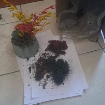 Taze Çiçek | Tazecicek.com Yanlış Ve Hasarlı Çiçek Gönderimiyle Hayal Kırıklığı