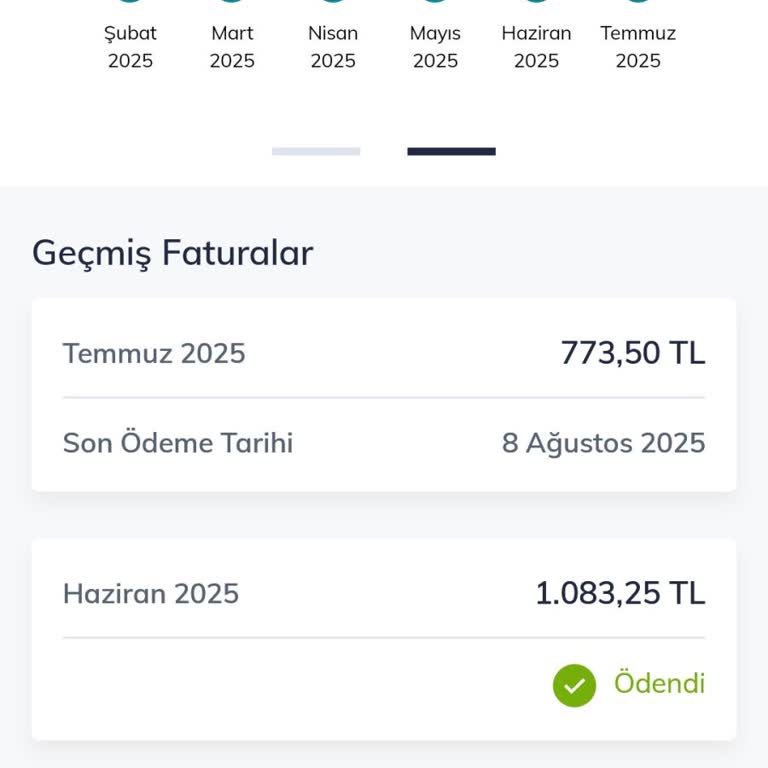 Fatura Tutarı Sürekli Artıyor, Detaylara Ulaşılamıyor