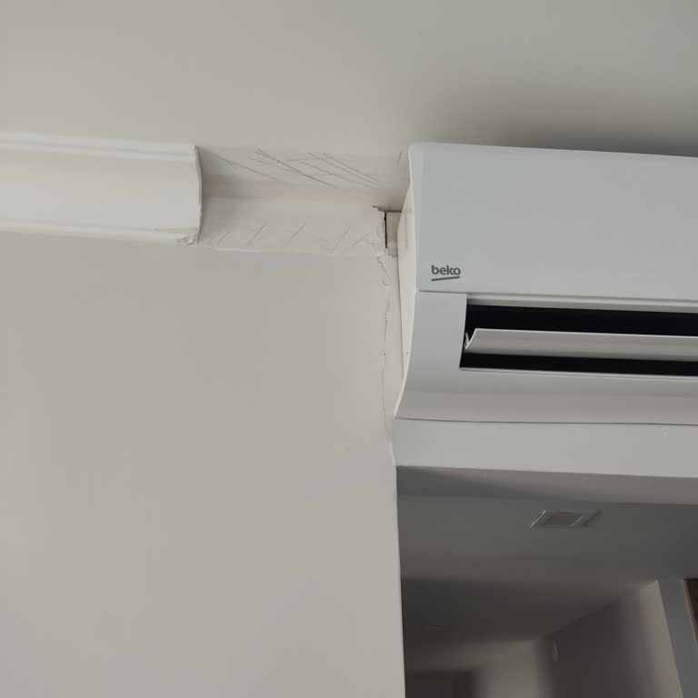 Yeni Eyüp Evleri Yönetimi Lütfen Çözüm