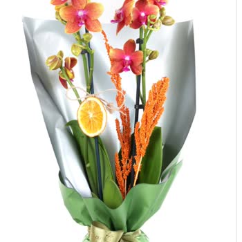 Sipariş Edilen Çiçeğin Rengi Ve Müşteri Hizmetleri Hayal Kırıklığı Yarattı