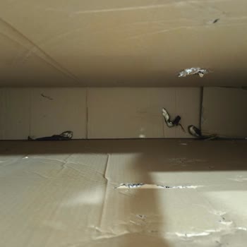 Trendyol Por2che Bisiklet Şikayeti