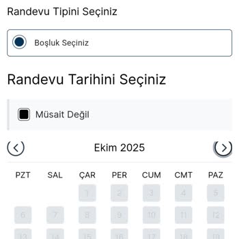 VFS Fransa Randevu Sisteminde Müsaitlik Sorunu Ve Çözüm Beklentisi