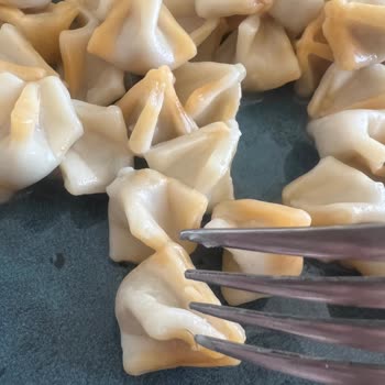 Aldığım Mantının İçinden Kıl Çıktı