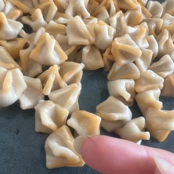 Aldığım Mantının İçinden Kıl Çıktı