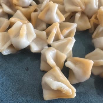 Aldığım Mantının İçinden Kıl Çıktı