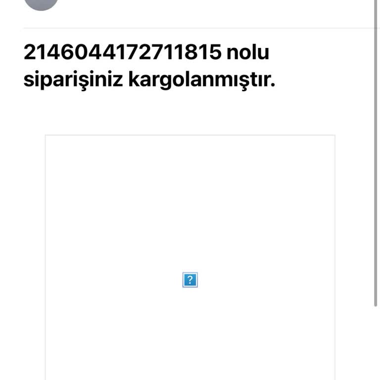 Hesabıma Erişemiyorum, Acil Destek Bekliyorum