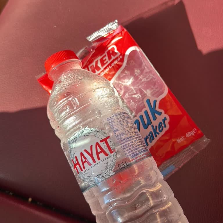 Dentur Feribotunda Aşırı Yüksek Fiyatlar Ve Fiş Verilmemesi