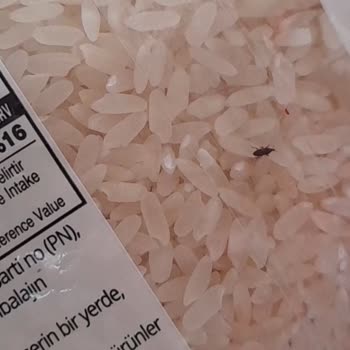 Aldığım Yayla Pirinç Paketinden Böcek Çıktı