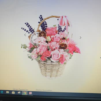 Solmuş Ve Eksik Çiçek, İlgisiz Müşteri Hizmeti: Param Boşa Gitti!