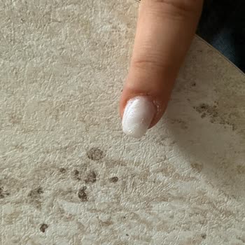 İpera Nail Studio Mağduriyet Yaşama