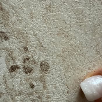 İpera Nail Studio Mağduriyet Yaşama