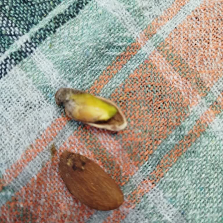 Bayat Ve Küflenmiş Ürünler, Yüksek Fiyatlar