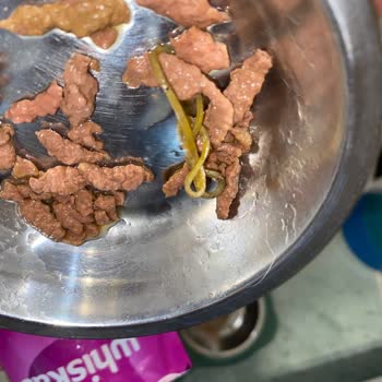 Yaş Mamadan Lastik Çıktı, Kedimin Sağlığı Tehlikeye Girdi!