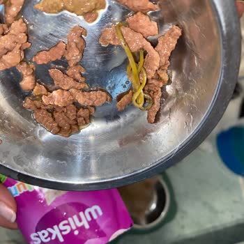 Yaş Mamadan Lastik Çıktı, Kedimin Sağlığı Tehlikeye Girdi!