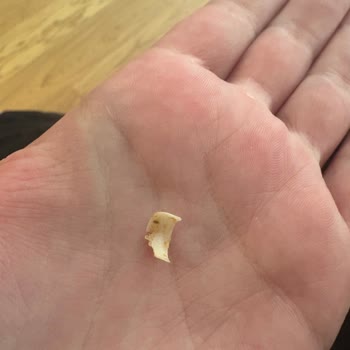 Mom's Natural Foods Çilekli Chia'dan Kocaman Ojeli Kadın Tırnağı Çıktı