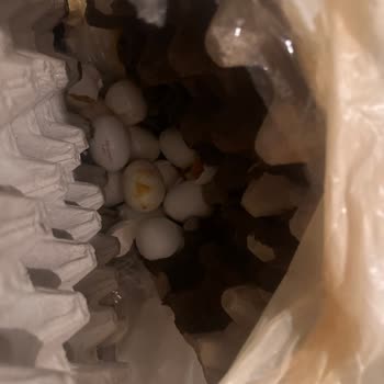 Kırık Yumurtalar, İade Talebine Cevap Yok!