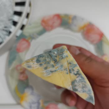 Arçelik Buzdolabında Soğutma Sorunu Ve Yetersiz Servis Desteği