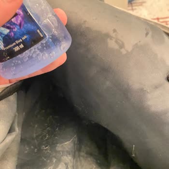 Deodorant Ve Duş Jeli Kapak Sorunu Yıllardır Çözülmedi, Ürünler Çantamı Mahvediyor