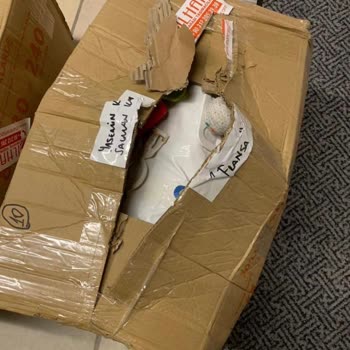 Kayıp Kolilerim Ve Hasarlı Eşyalarım İçin Sorumlu Firma Yetkililerinden Çözüm Bekliyorum