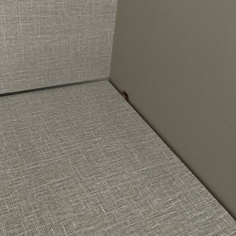 Doğtaş Trento Yatak Odası Takımında Raf Ve Menteşe Sorunları Yaşadım