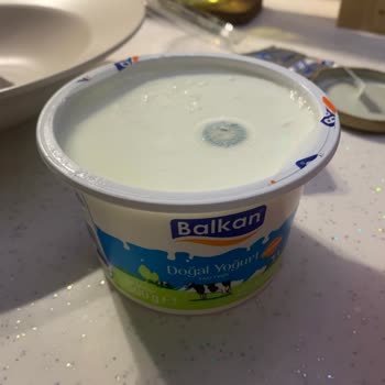 Aldığım Yoğurttan Küf Çıktı, Sağlığımız Tehlikeye Girdi