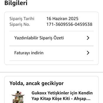 Amazon'dan Verdiğim Yurtdışı Siparişim Kayıp, Takip Yapılamıyor