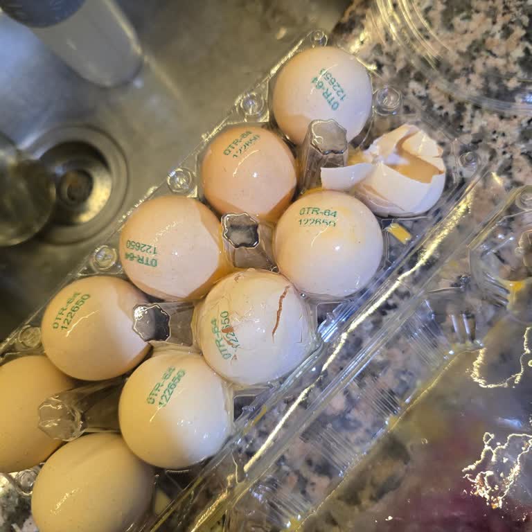 Kırık Yumurtalar Ve İlgisiz Teslimat Şikayeti