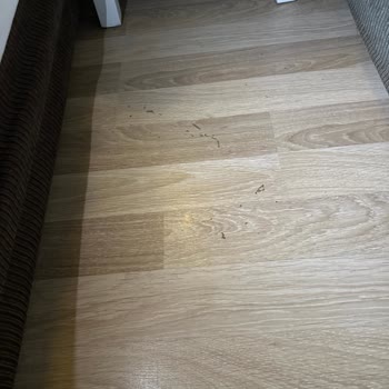 Mc Arancia Resort Hotel Hijyen Ve Sağlık Sorunları Nedeniyle Hayal Kırıklığı Yaşadık!