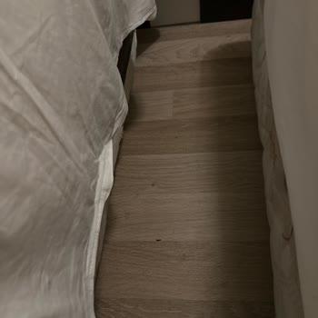 Mc Arancia Resort Hotel Hijyen Ve Sağlık Sorunları Nedeniyle Hayal Kırıklığı Yaşadık!